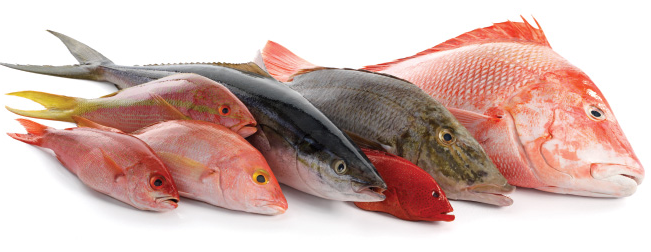 Tip Mudah Nak Kenal Ikan Segar Di Pasar. - RASA