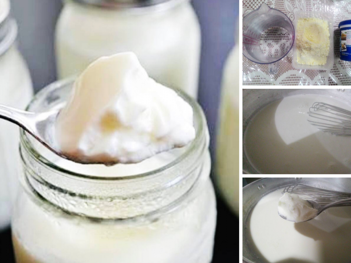 Cara Cara Buat Yogurt Homemade Guna Susu Tepung