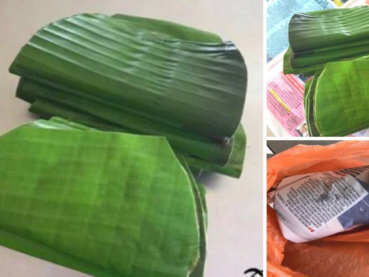 Petua Simpan Daun Pisang Agar Kekal Segar Tahan Lebih Seminggu