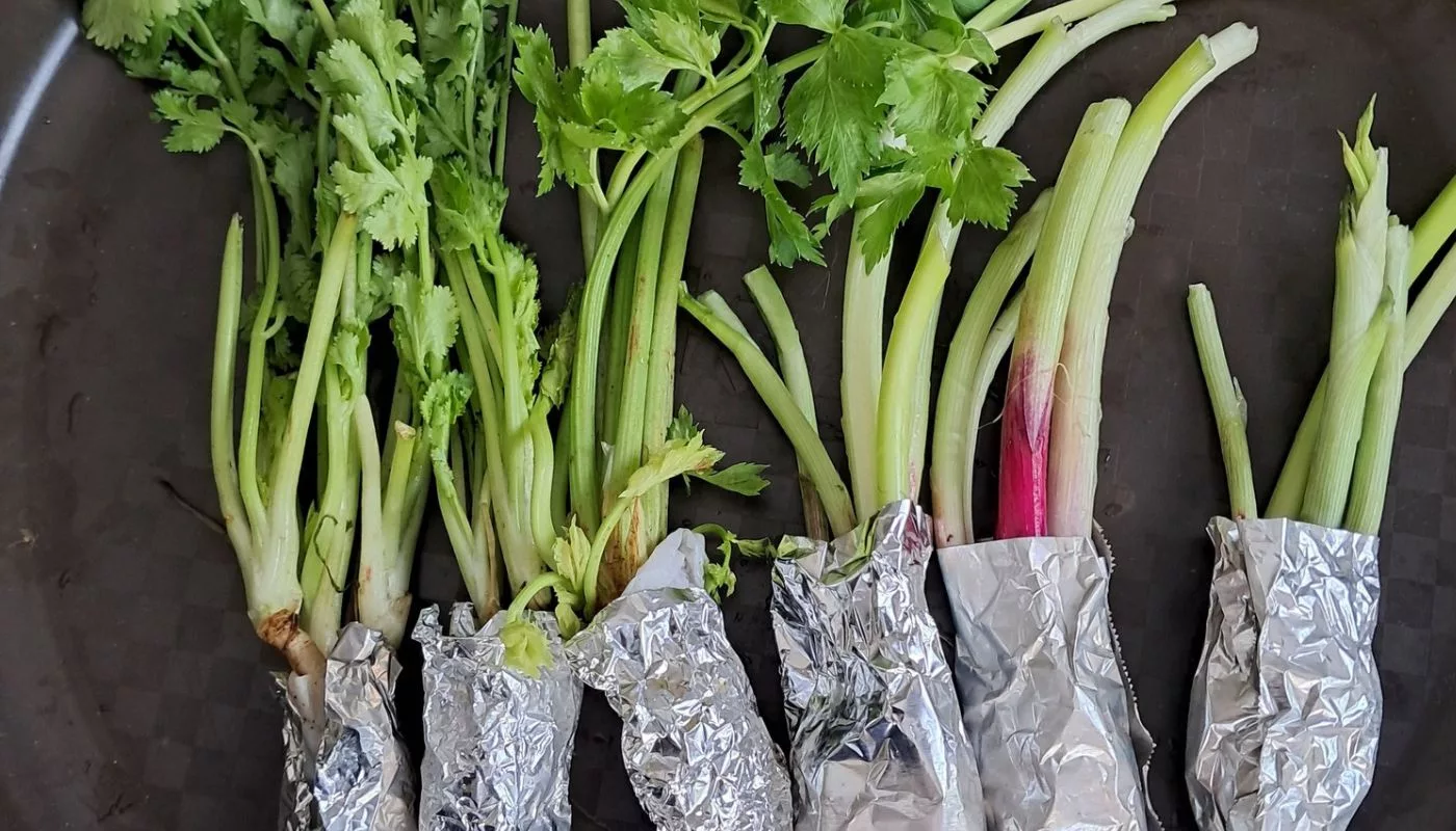 Cara Simpan Daun Bawang Dan Ketumbar, Sebulan Pun Segar Lagi!